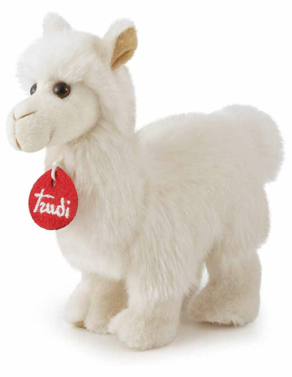 Trudino Lama *