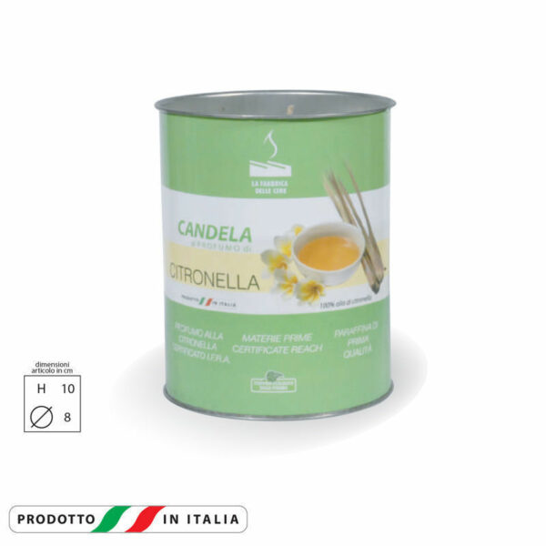 Contenitore in carta Candela alla Citronella 8x10 cm *