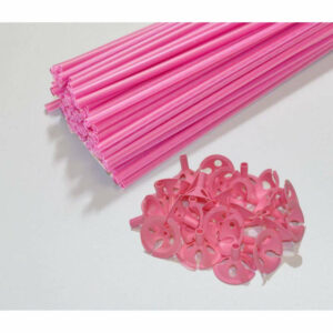 Astine con valvola Rosa 10 pezzi *