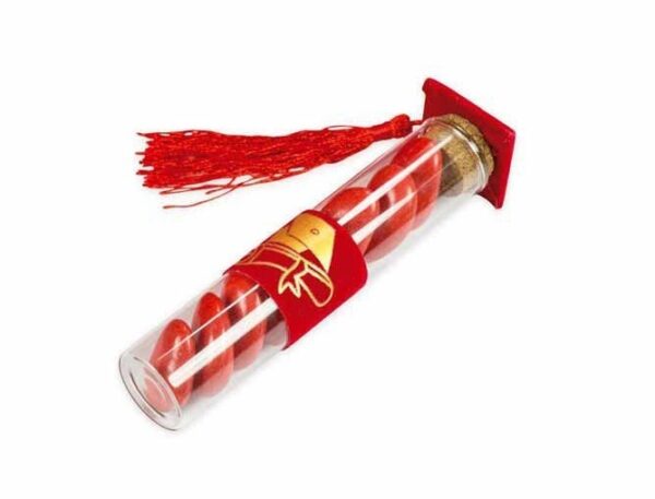 Provetta in Vetro 12 cm con Tocco Laurea in velluto 12 pz *
