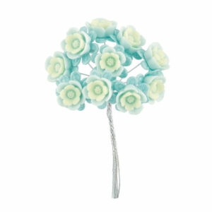 MAZZETTO 10 ROSELLINE BICOLOR AZZURRE *