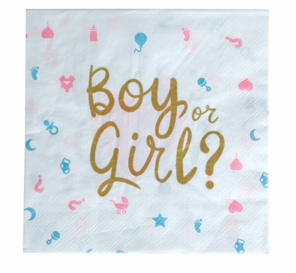 Tovaglioli 33x33 cm Boy or Girl 12 pezzi *