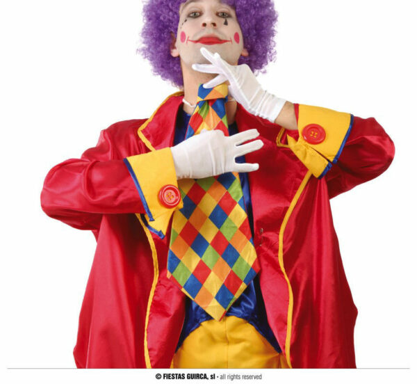 Cravatta Clown Scacchi 30 cm
