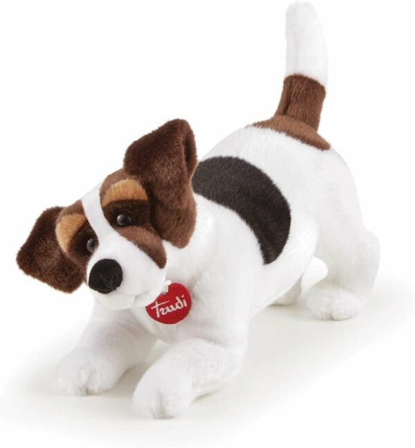 Jack Russel Jack *