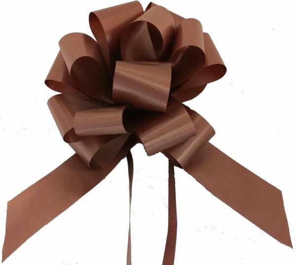 30 Coccarde Splendid Strip Marrone scuro 31 mm*