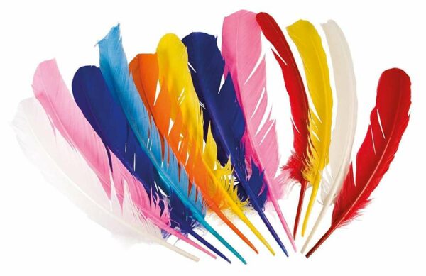 Piume da Indiano colori assortiti 12 pezzi *